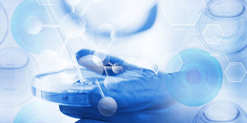 Process route development